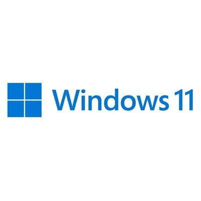 Microsoft FQC-10532 Windows 11 Pro French, 64 Bit, DSP, 1pk, DVD