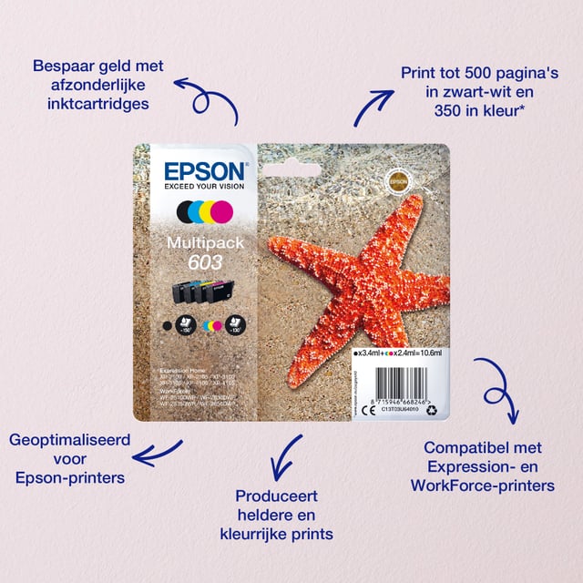 Epson Multipack 4-colours 603 EasyMail