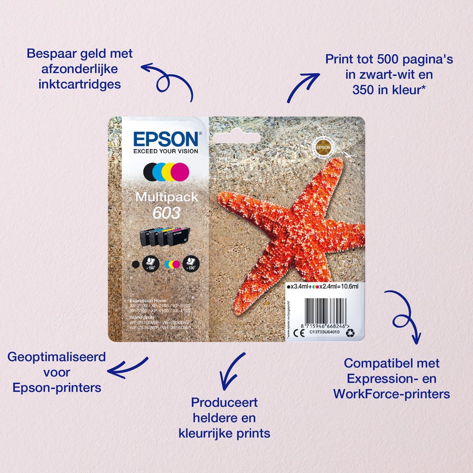 Epson Multipack 4-colours 603 EasyMail