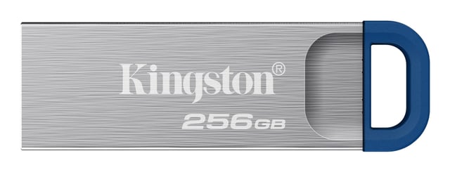 Kingston Technology DataTraveler 256GB