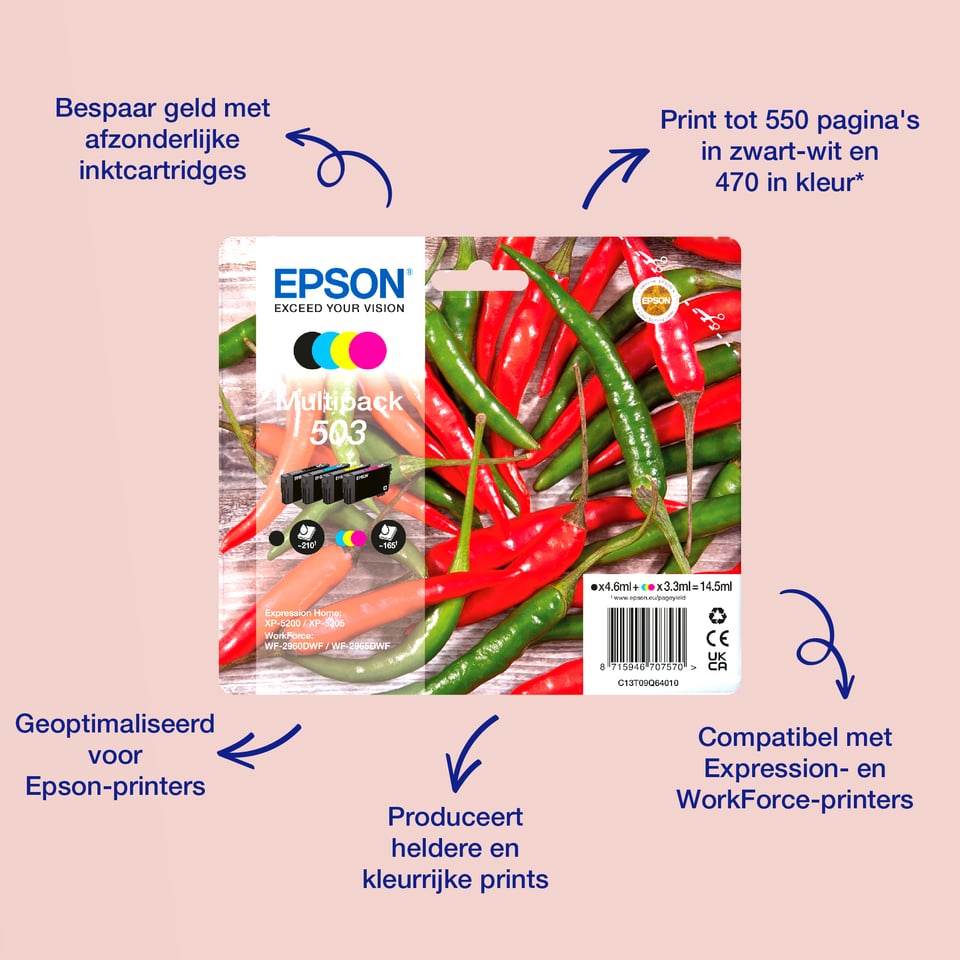 Epson Singlepack Cyan 503 Ink