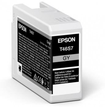 Epson UltraChrome Pro inktcartridge 1 stuk(s) Origineel Normaal rendement Grijs