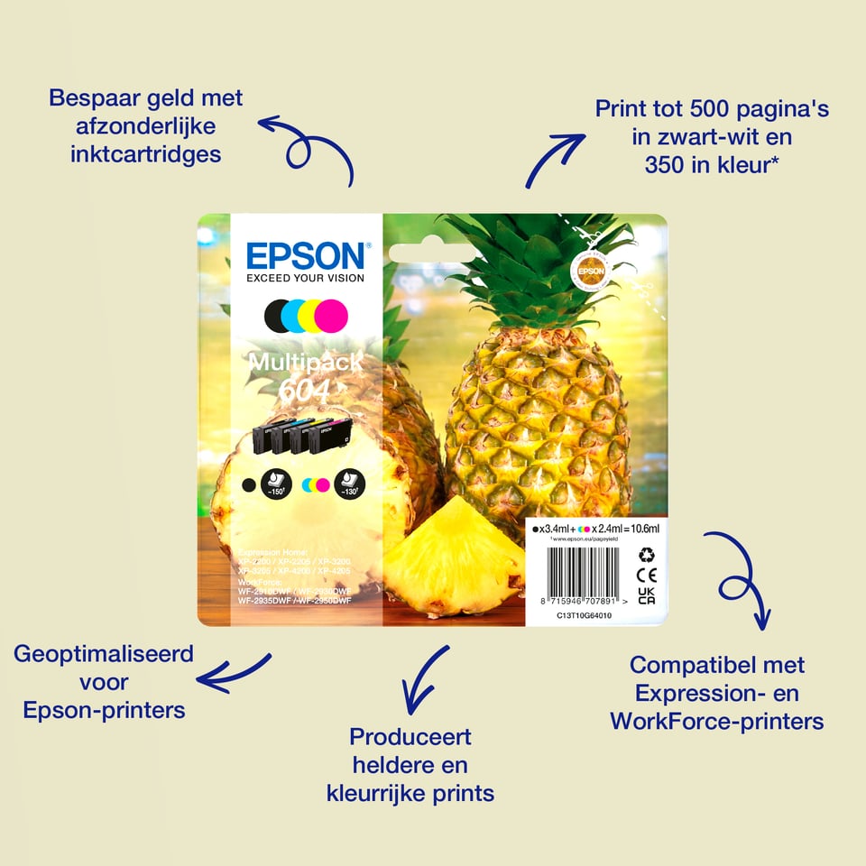 Epson 604 Pineapple Singlepack Black Ink