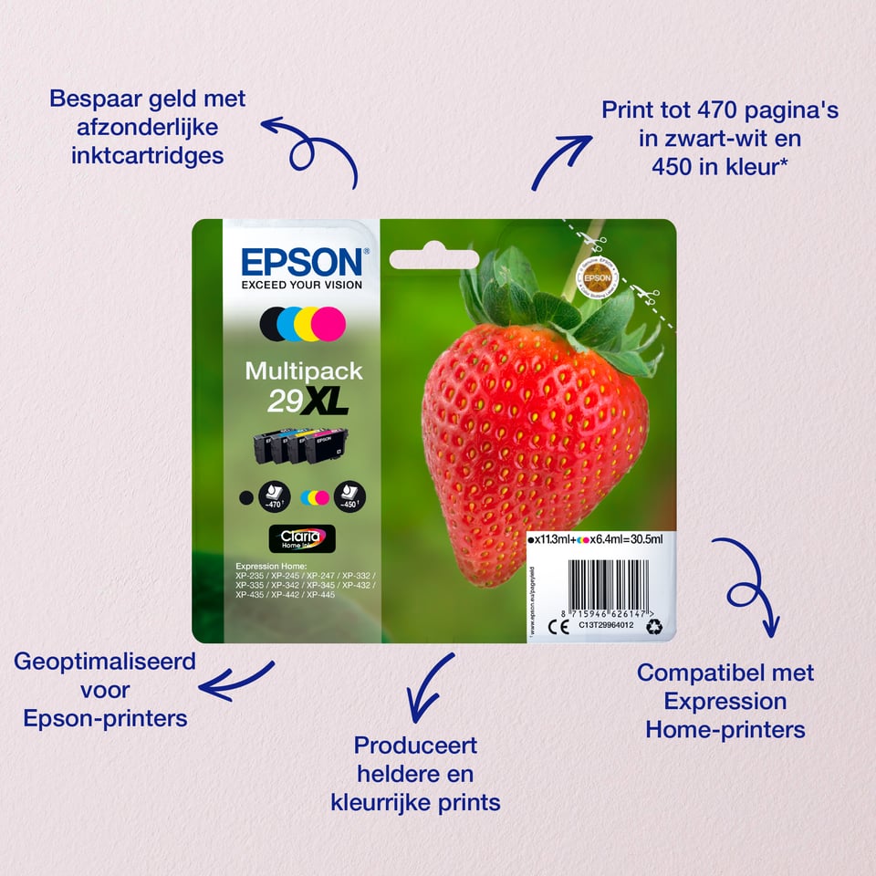 Epson Strawberry Multipack 4-colours 29 Claria Home Ink