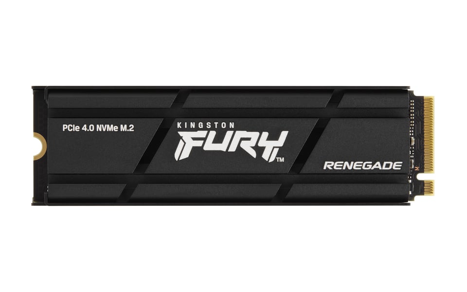 Kingston Technology 2000G ssd RENEGADE PCIe