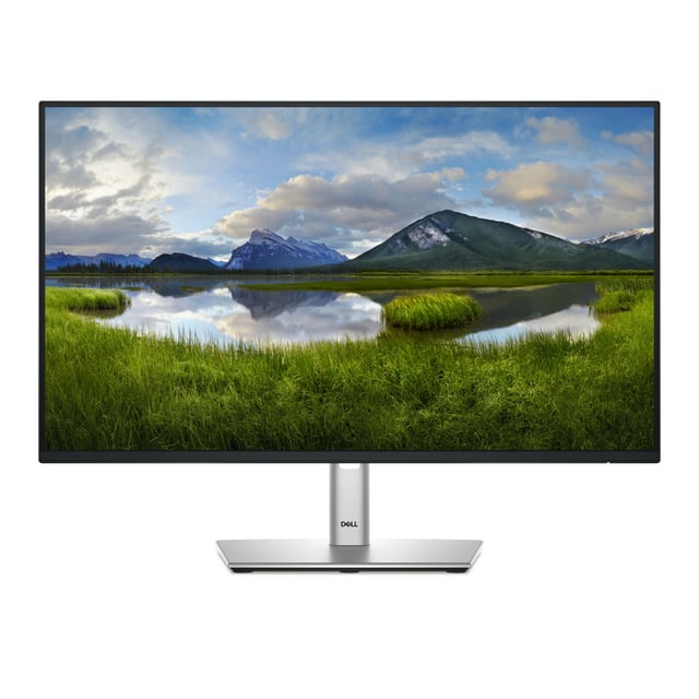 DELL Pro Plus P2425H monitor 23,8"