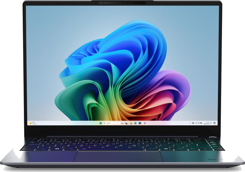 Laptops en Desktops